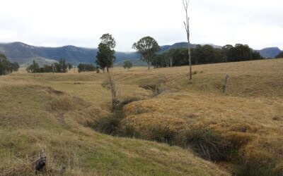 Fast Food Thinking Won’t Fix Slow Soil Problems