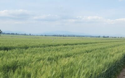 Strategising National Soil Security