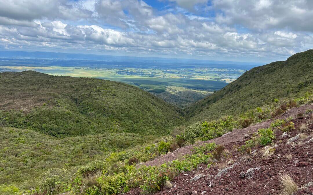 Soil Security and the 4 per 1000 initiative: Making Climate Gains Last