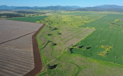 Beyond Labels: Finding Common Ground in Agriculture