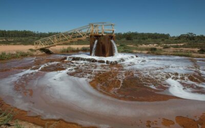 The Ghost in the Machine: How an Ancient Ocean Rewrote Australian Law