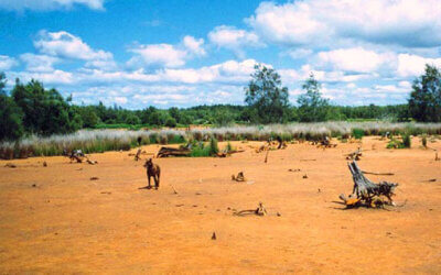 The Day the River Turned Blue: How a Coastal Disaster Forced Soil into Planning Law
