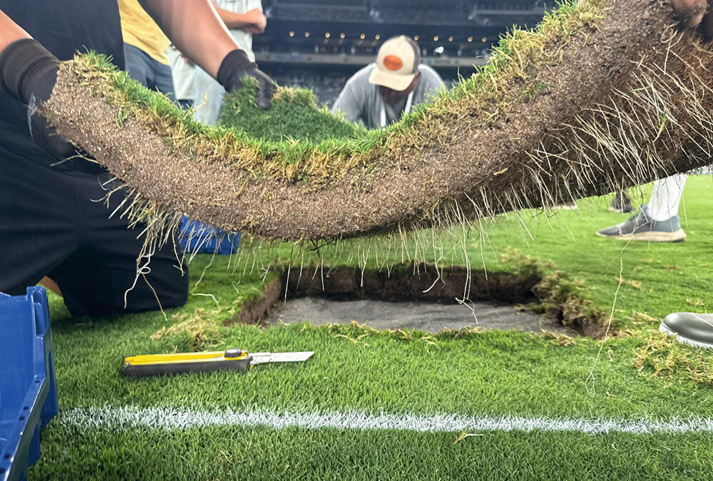 From the FIFA World Cup Pitch to the Planet: What Football Can Teach Us About Soil Security