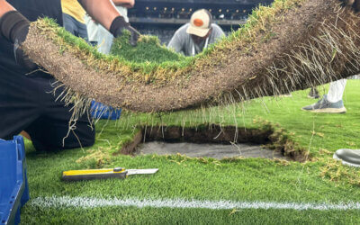 From the FIFA World Cup Pitch to the Planet: What Football Can Teach Us About Soil Security