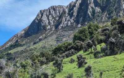 From Soil Health to Soil Security: Seeing the Bigger Picture